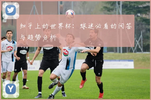 知乎上的世界杯:球迷必看的问答与趋势分析